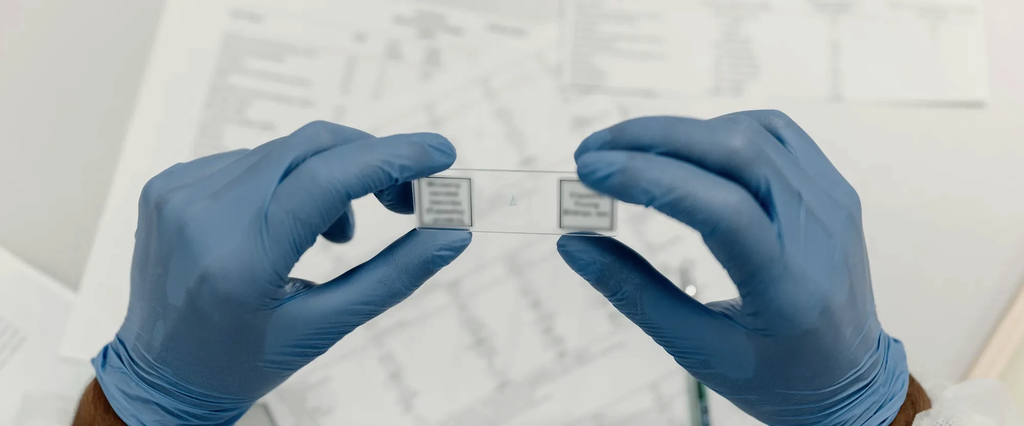 Gloved hands holding a microscope slide above printed study data
